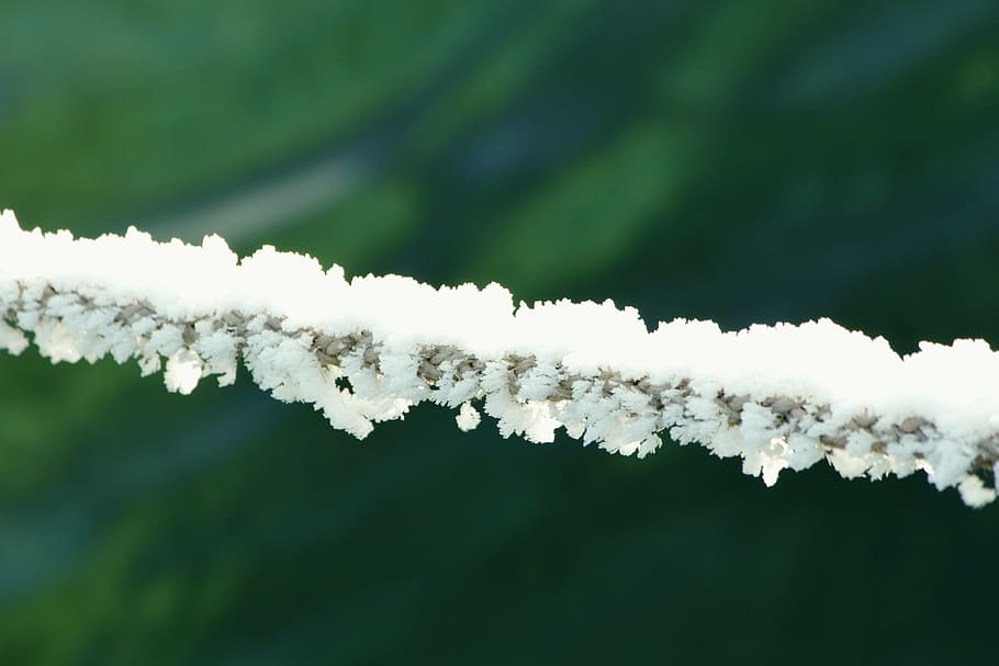 winterimpression, zing temperatures, cold tracks, nature, white HD wallpaper
