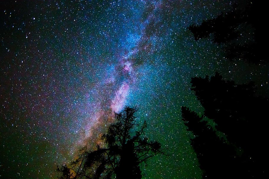 silhouette of trees under cosmos, sky, dramatic sky, galaxy HD wallpaper