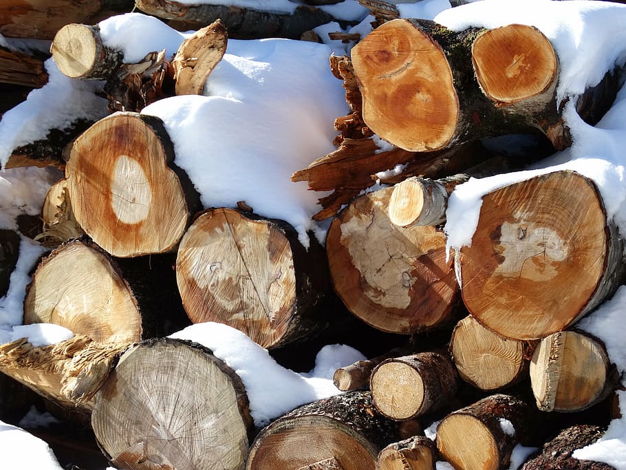 log, stack, holzstapel, winter, winter depot, snow, reforestation HD wallpaper