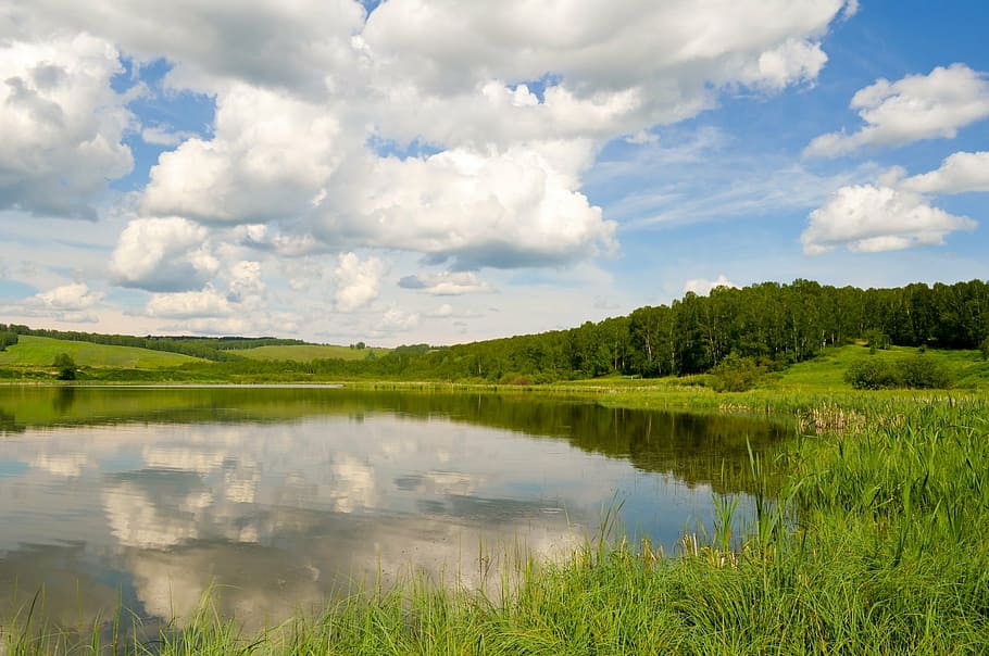 lake beside grass, sky, clouds, reflection, walking, travel HD wallpaper