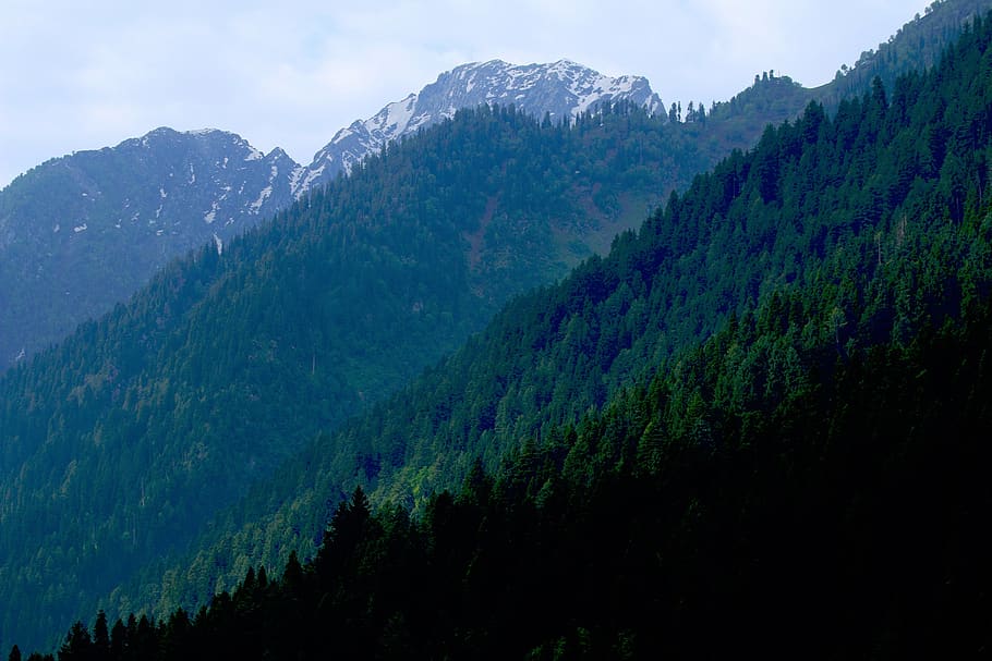 nature, mountains, trees, snow, beauty in nature, scenics - nature HD wallpaper