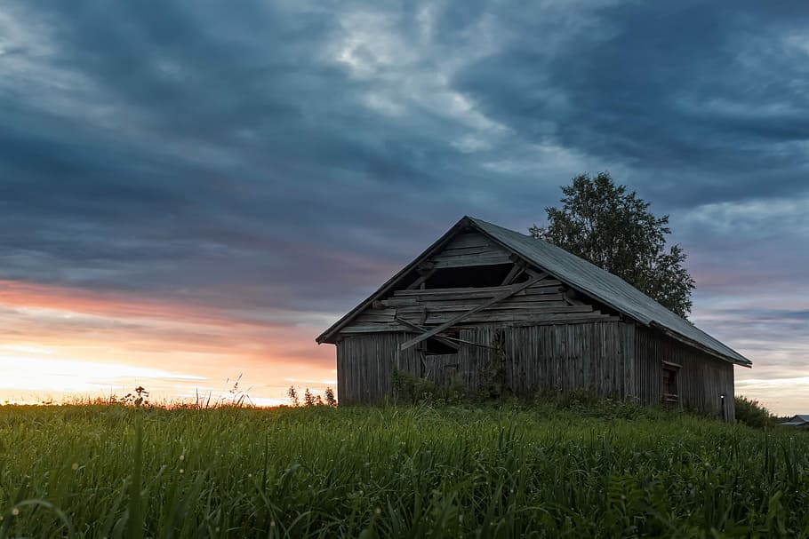 closeup photo of brown house in front of tree, brown shed near field HD wallpaper