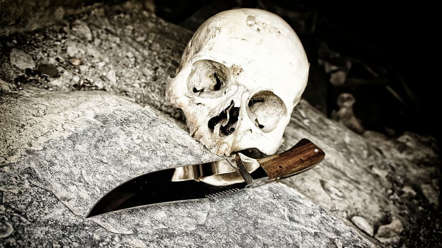 white skull and brown dagger knife on gray concrete surface, bone