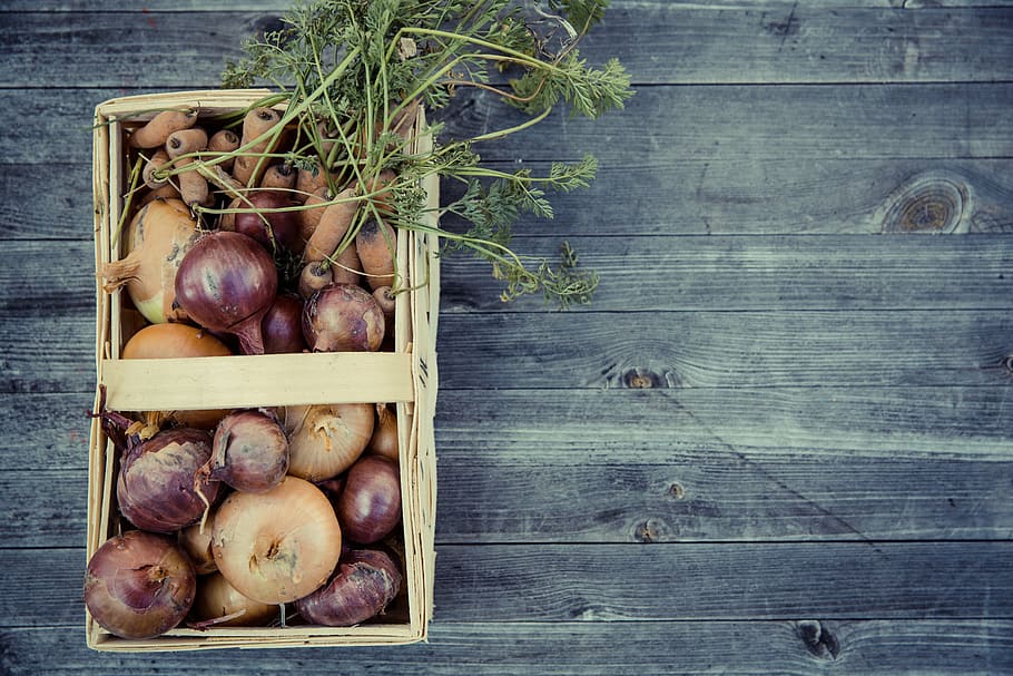 orange carrots and purple onions in basket, vegetables, harvest