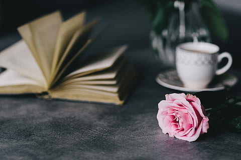 Lovely roseses, book and coffee, interior, resting, relax, essentials HD wallpaper