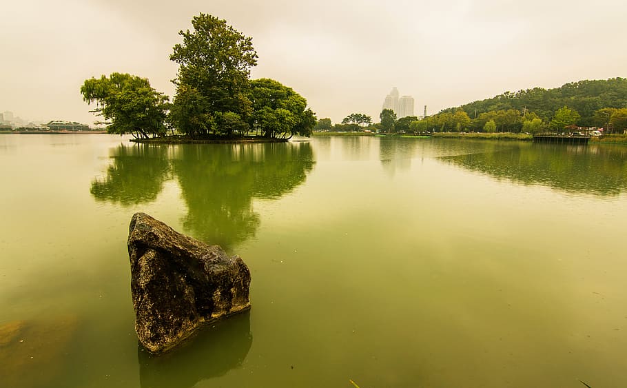 Lake, Water, Tree, Landscape, Outdoors, reflection, nature HD wallpaper