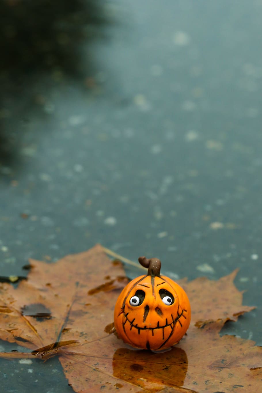 halloween, figure, pumkin, autumn, fall, puddle, leaf, plant part, HD wallpaper