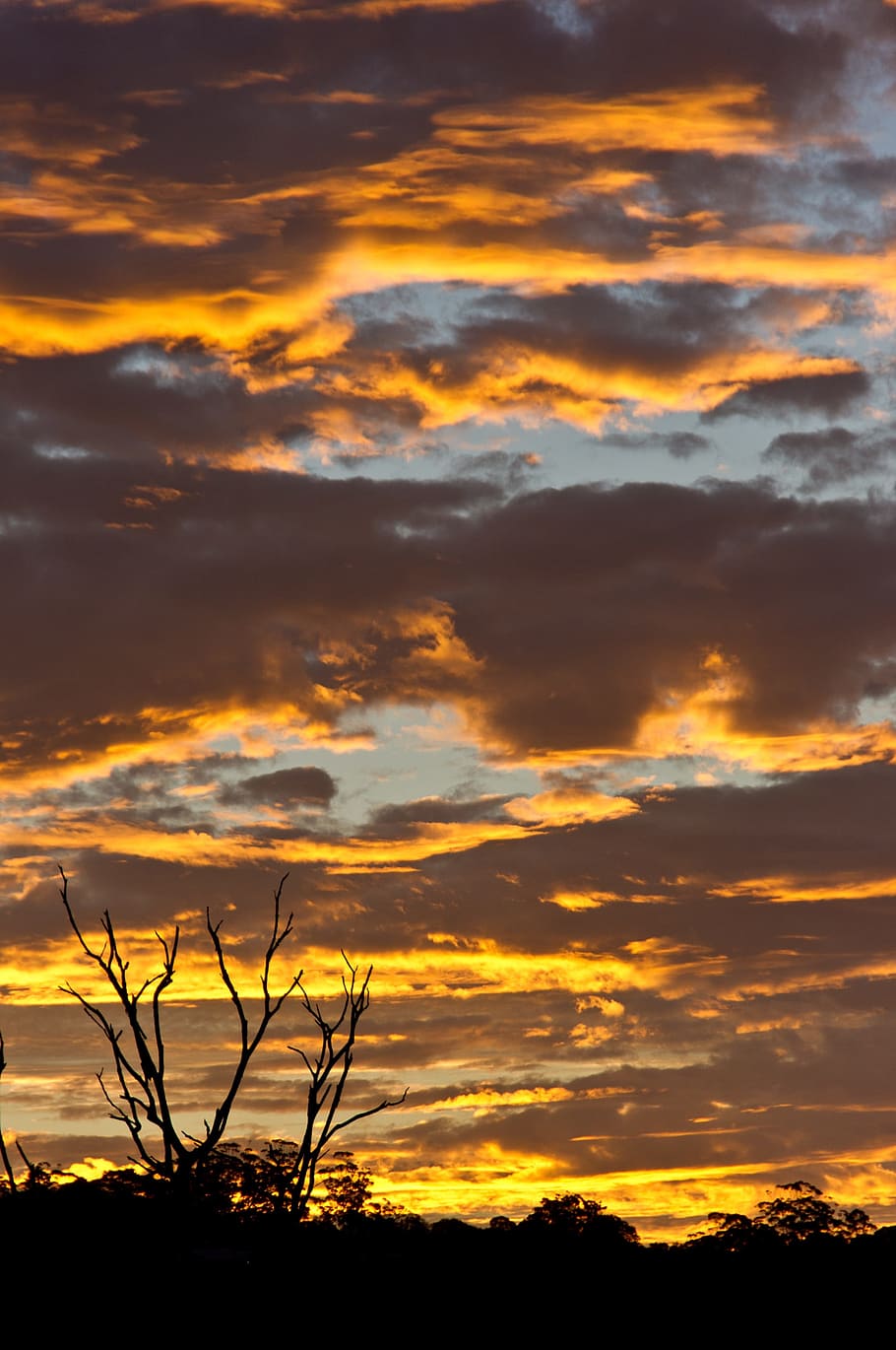 Sunset, Clouds, Orange, Gold, sky, grey, dramatic, australia HD wallpaper