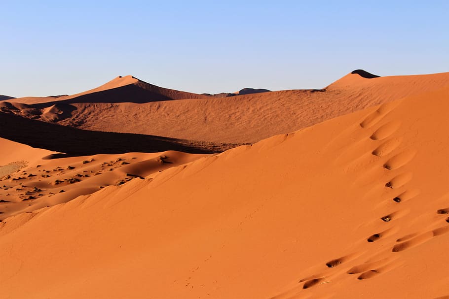 sand dune during daytime, namibia, africa, desert, dry, parched HD wallpaper