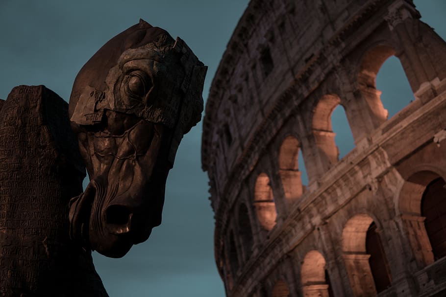 brown wooden horse head sculpture beside Colosseum, low angle photo of Colosseum, Rome HD wallpaper