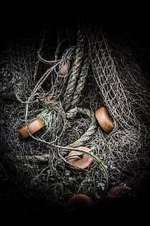 photography of gray fishnet, fishing, nets, rope, catch, sea HD wallpaper