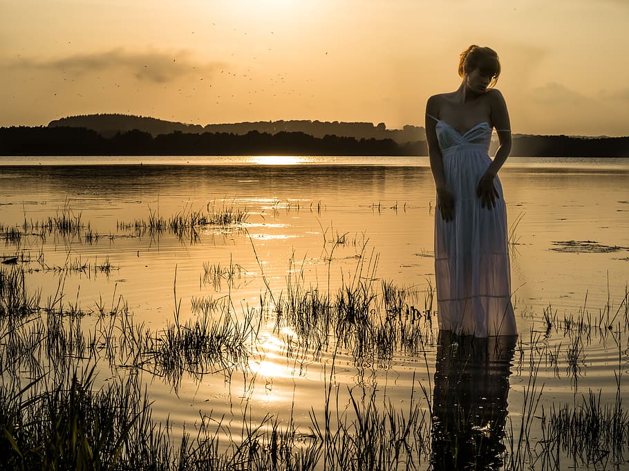 woman with white sweetheart neckline dress standing near grasses HD wallpaper