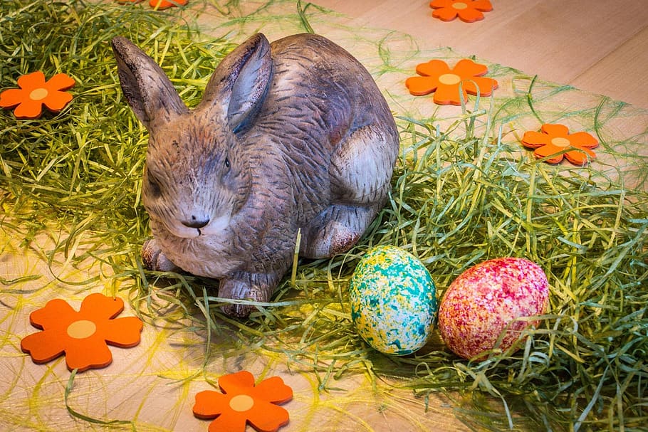 hare, easter, spring, egg, easter egg, animal, celebration HD wallpaper