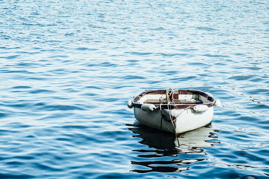 white wooden boat on body of water, white wooden canoe on body of water HD wallpaper