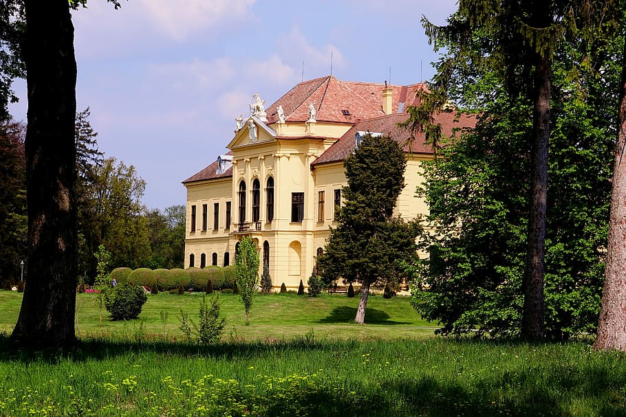 architecture, building, castle, park, tree, built structure HD wallpaper