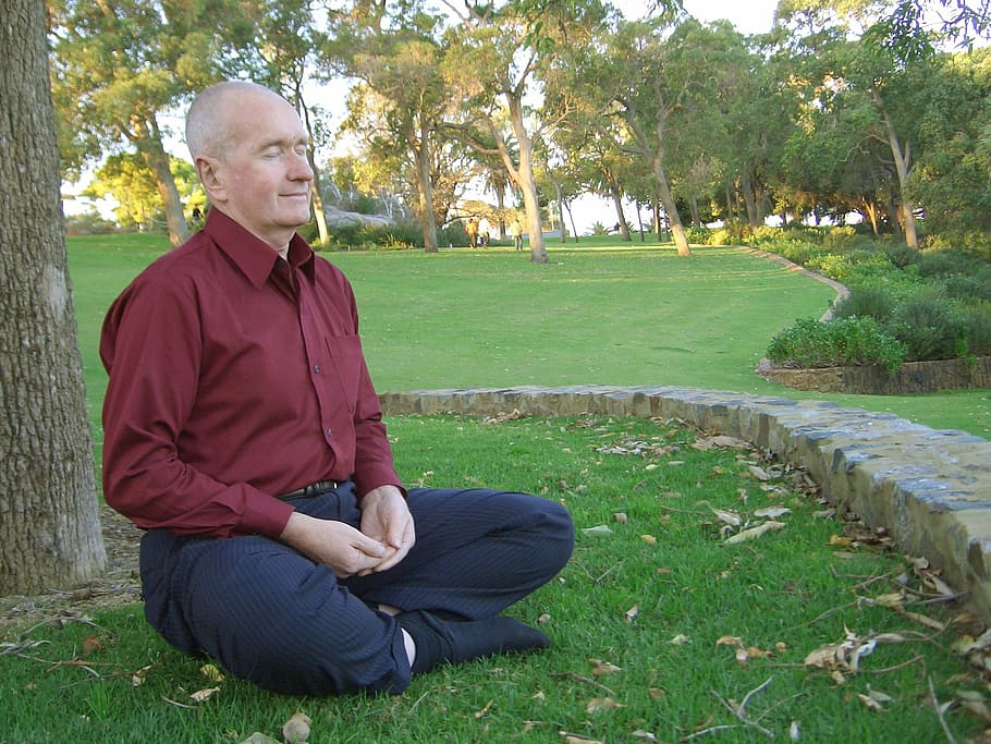 man wearing red dress shirt sitting near the tree, elderly, buddhist, HD wallpaper