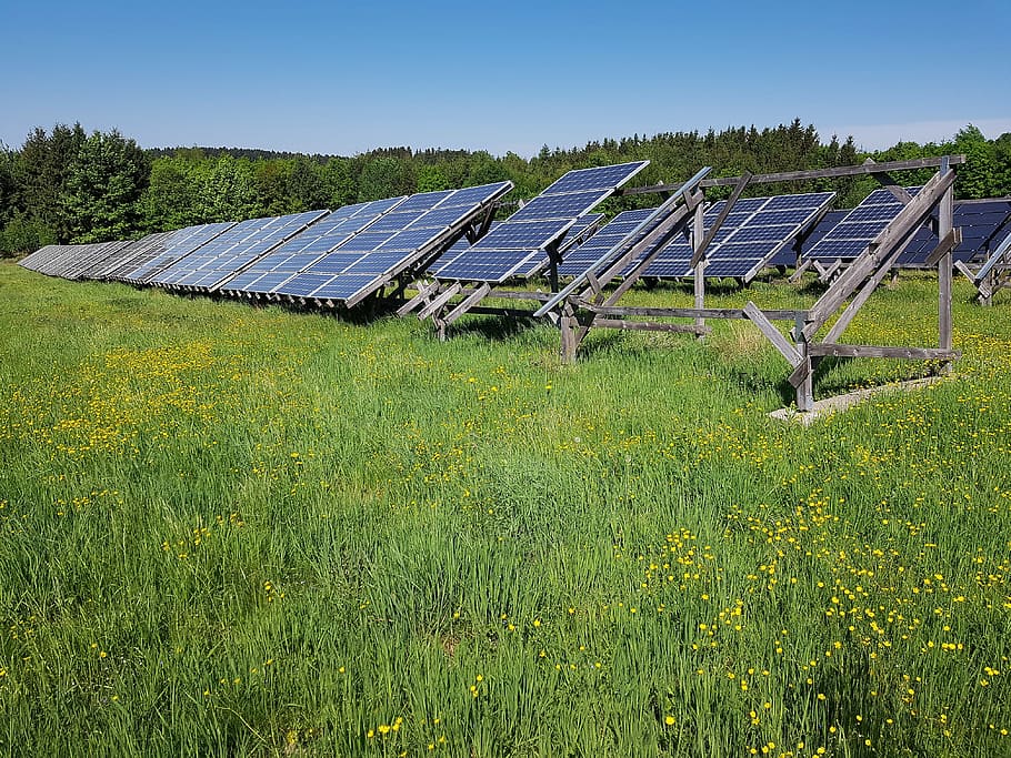 blue solar panels surrounded by grass at daytime, solar field HD wallpaper