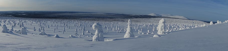 winter landscape, fell, the lapland, nature, snow, cold temperature, HD wallpaper