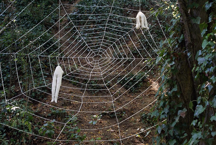 Nature, Web, Sculptures, Woods, art, trapped, outdoors, day