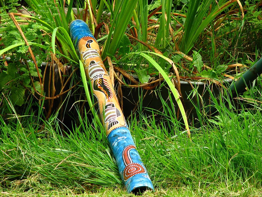 blue blue and beige tiki in grass, didgeridoo, blowgun, musical instrument