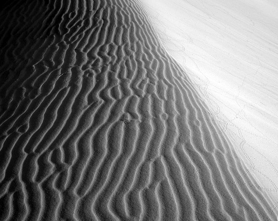 greyscale photo of desert, untitled, sand, ripple, dune, kelso dune