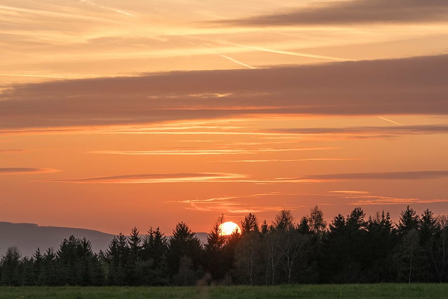sunset, sky, afterglow, clouds, orange color, tree, dramatic sky HD wallpaper
