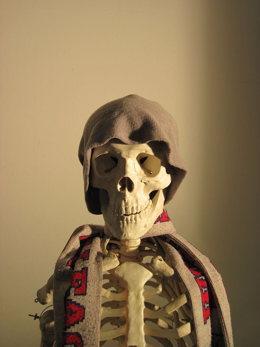 skeleton, cap, scarf, side light, fun, bone, skull, death, indoors HD wallpaper
