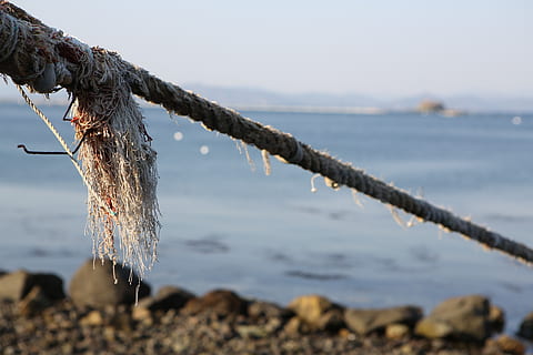 tether, rope, thong, water, focus on foreground, nature, tranquility HD wallpaper