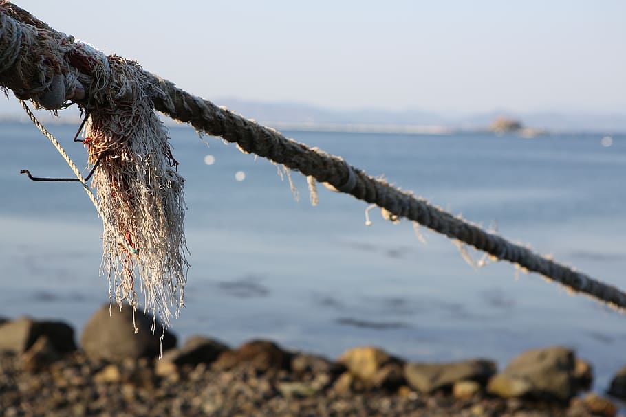tether, rope, thong, water, focus on foreground, nature, tranquility HD wallpaper