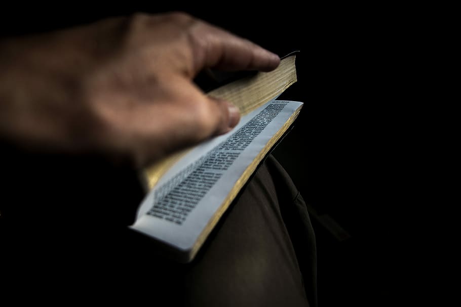 The word of God., person holding opened book, reading, open book HD wallpaper