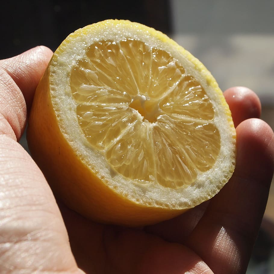 lemon, half, sun, yellow, hand, food and drink, healthy eating HD wallpaper