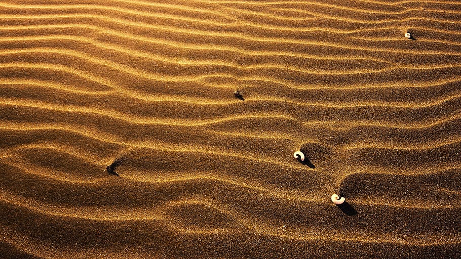 sand, beach, desert, sandy, land, pattern, high angle view HD wallpaper