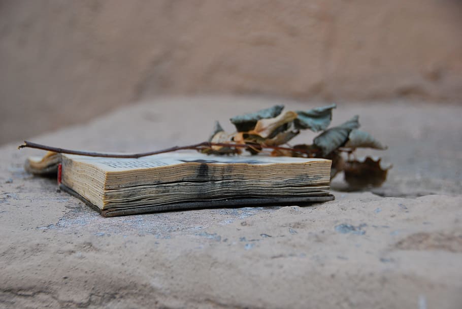 Old Book, Dry, Twig, Extra, Things, dry twig, extra things HD wallpaper