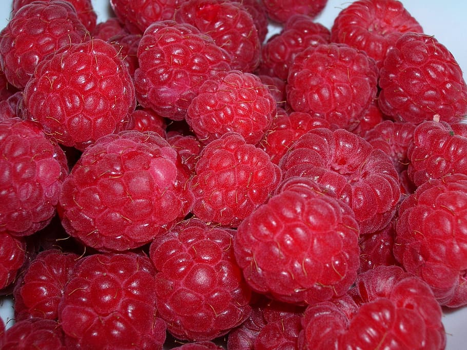 raspberry, red, berries, sweet, fruit, healthy eating, food and drink HD wallpaper