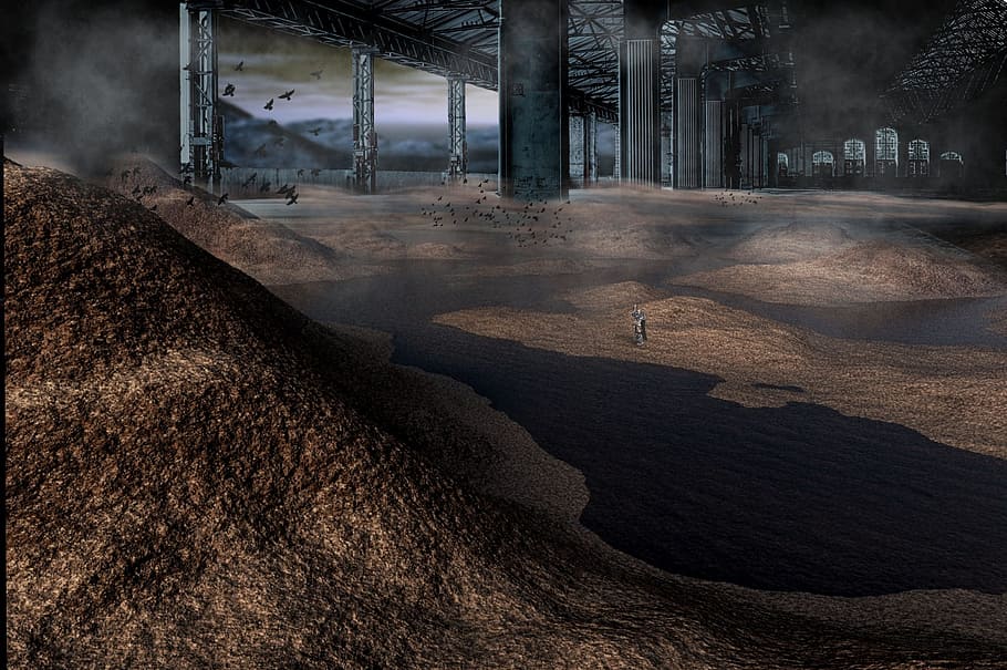 brown sand near building surrounded bird, landscape, planet, warehouse, HD wallpaper