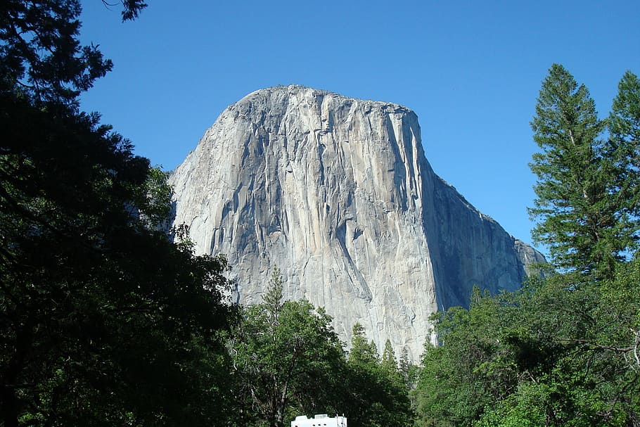 mountain, yosemite, park, tree, plant, sky, low angle view HD wallpaper
