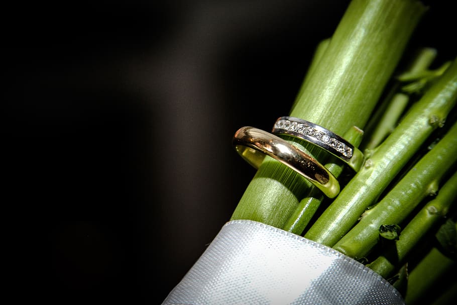 green, rings, love, commitment, green color, food and drink HD wallpaper