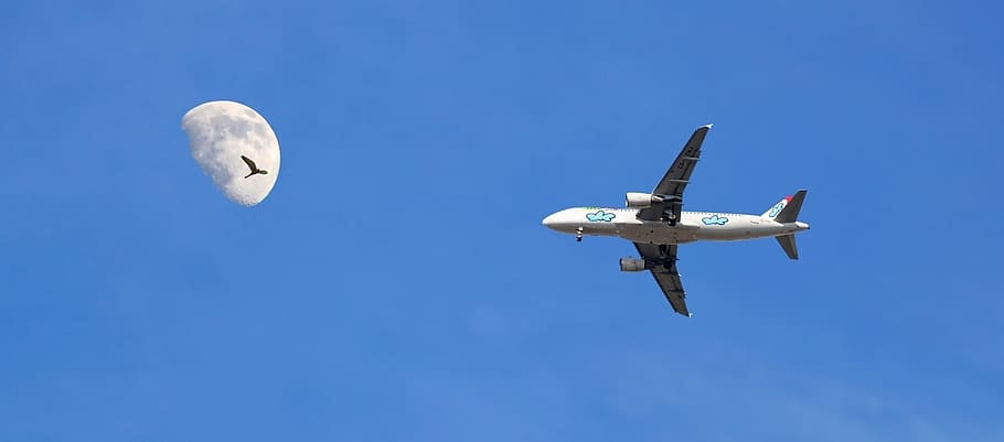 low-angle shot photography of airplane and moon, ceu, blue sky HD wallpaper