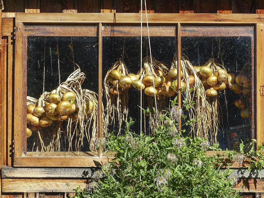 Onions, Window, Hut, Veggie, hanging, garden, farm, barn, food HD wallpaper