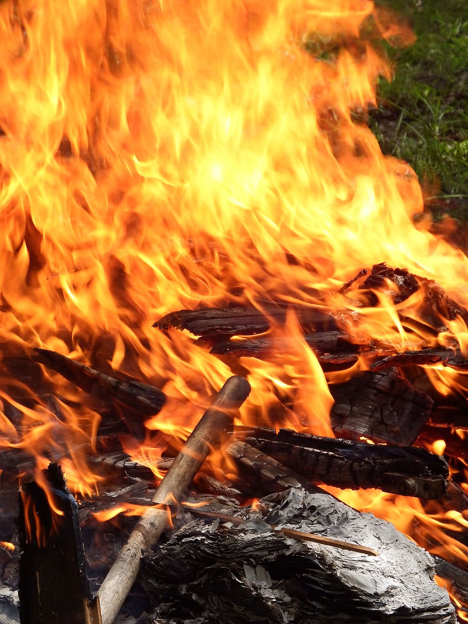 Fire, Red, Wood, Flames, Outside, outdoor, garden, bonfire HD wallpaper