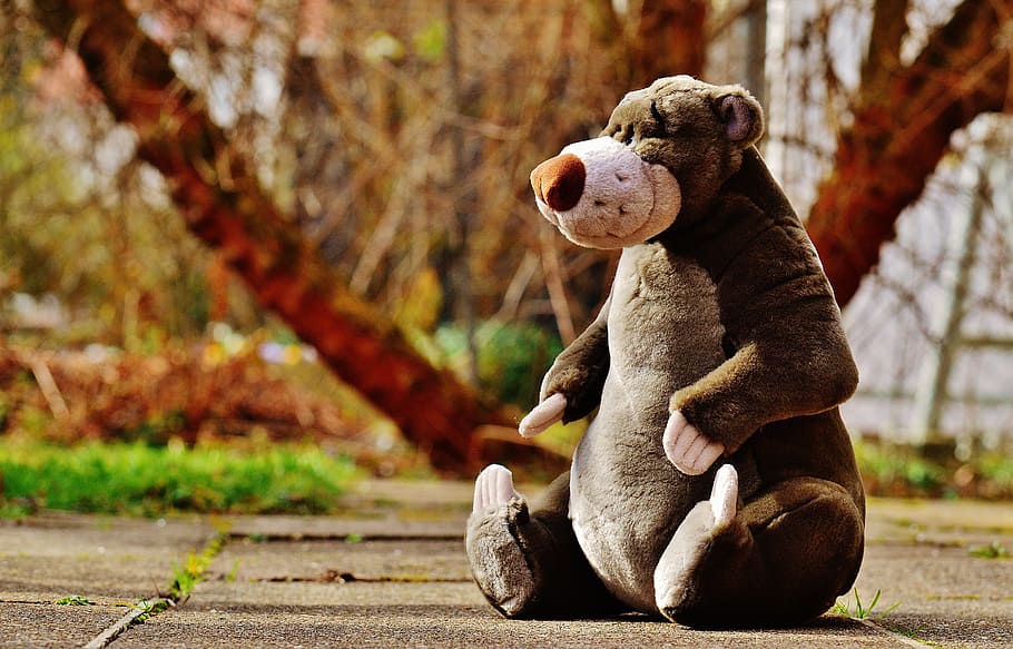 brown and white bear plush toy on brown pavement, soft toy, disney, HD wallpaper