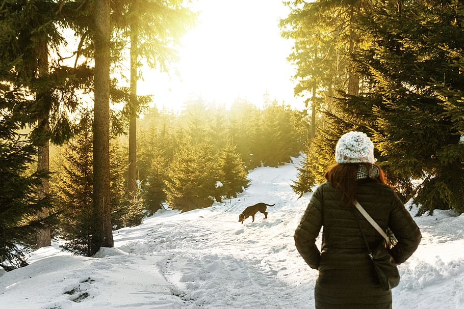 woman carrying bag standing on snowfield near trees, winter HD wallpaper