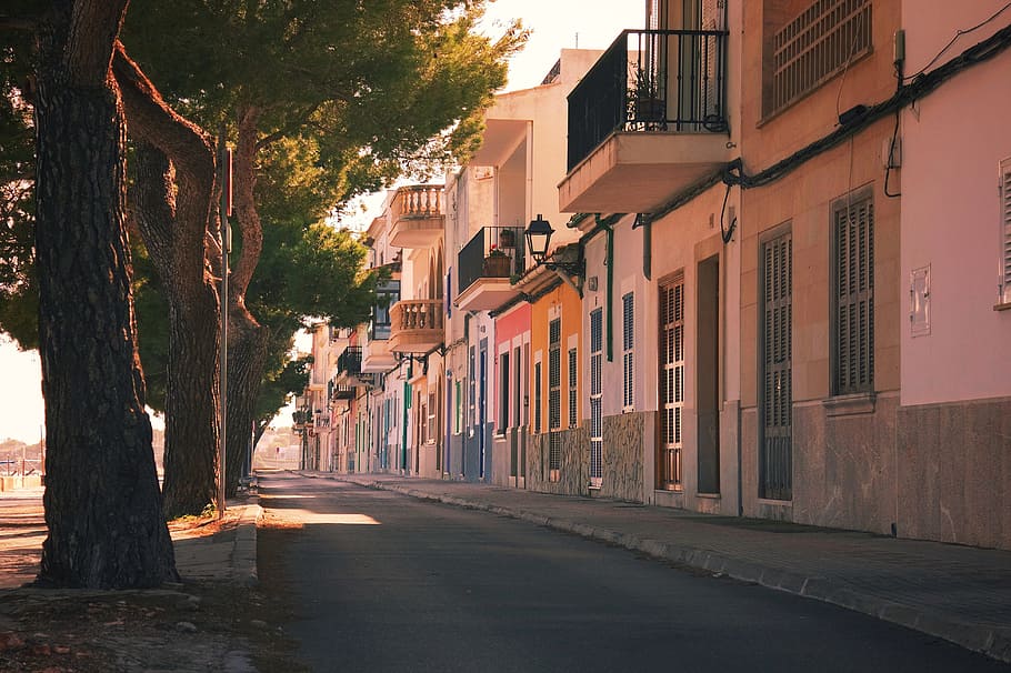 avenue, sun, homes, trees, colorful, spain, mallorca, summer HD wallpaper