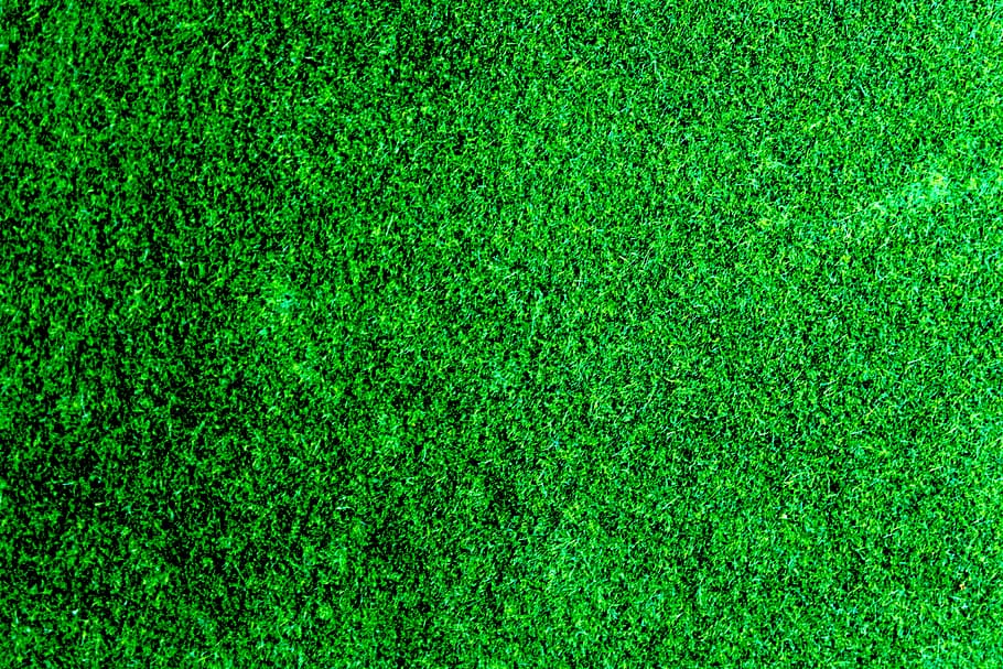 field, grass, lawn, meadow, background, bright, clean, environment HD wallpaper