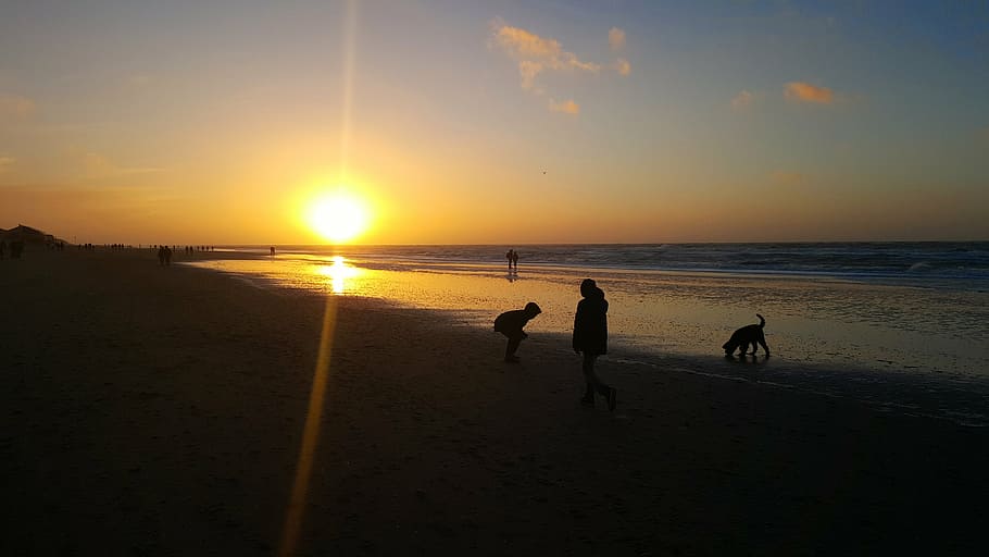 texel, beach, evening, abendstimmung, sea, sunset, de koog HD wallpaper