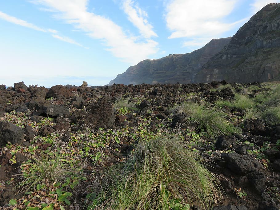rock, volcanic, lava, flow, basalt, landscape, black, vegetation HD wallpaper