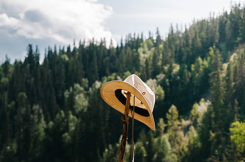 brown hat on top of brown wooden stick at daytime, gray and black hat on brown wooden trunk HD wallpaper
