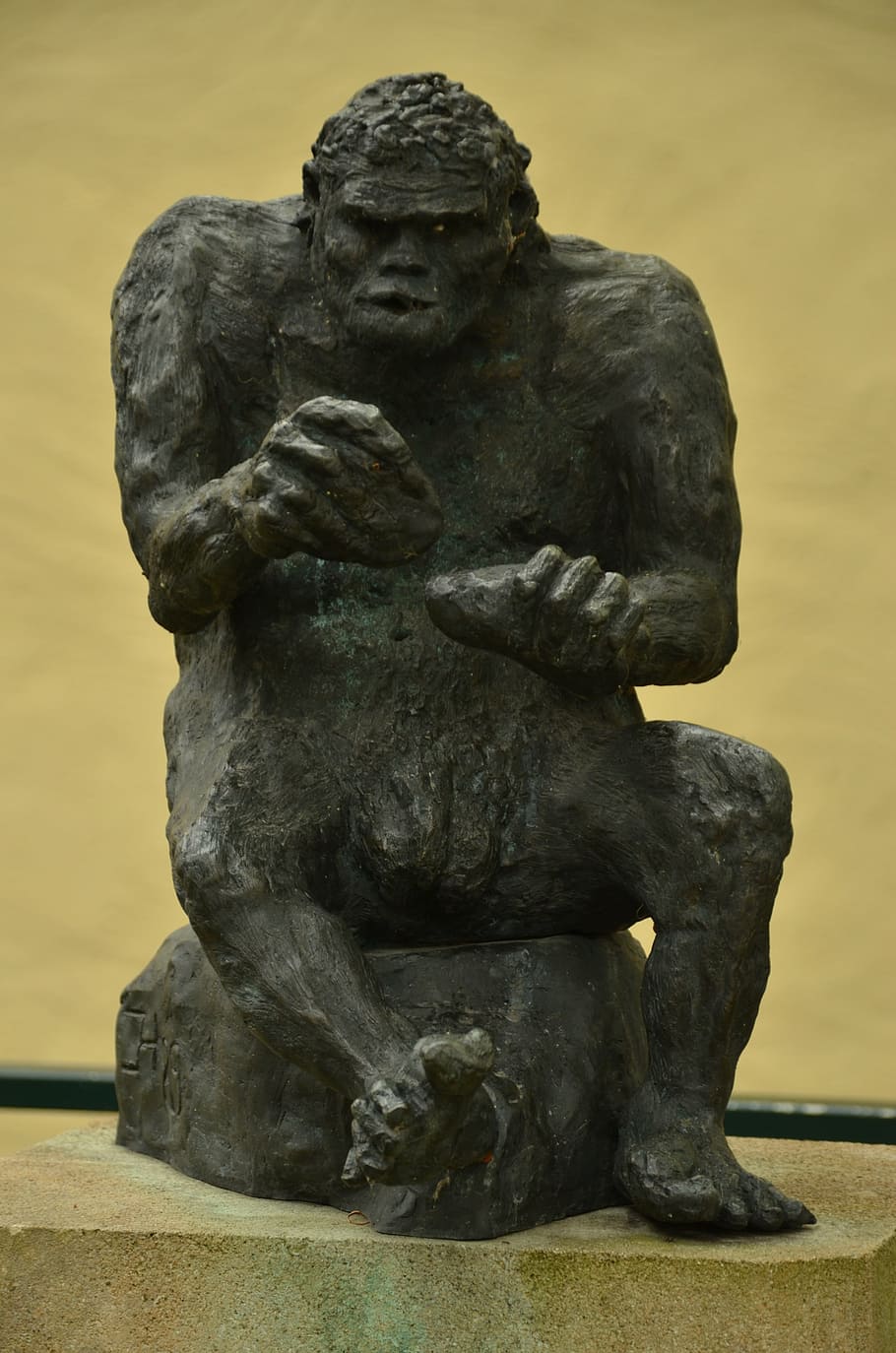 monkey, man, apeman, evolution, development, image, statue HD wallpaper