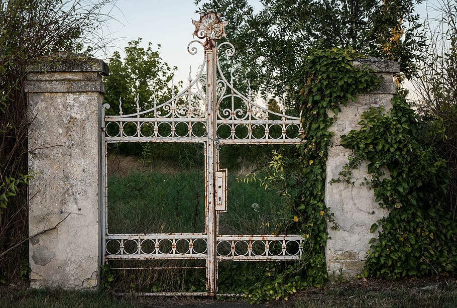 white metal gate near green trees, goal, old, old gate, input HD wallpaper