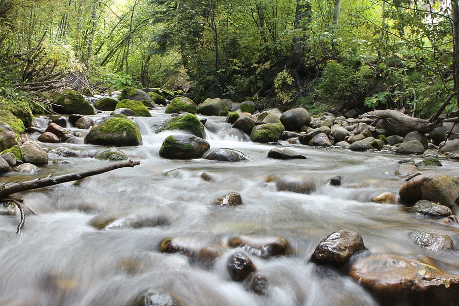 river, stream, water, rocks, green, moss, plants, trees, nature HD wallpaper